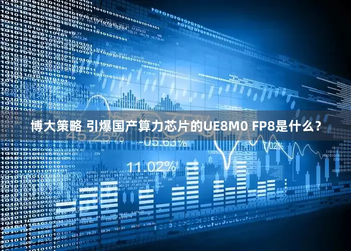 博大策略 引爆国产算力芯片的UE8M0 FP8是什么？