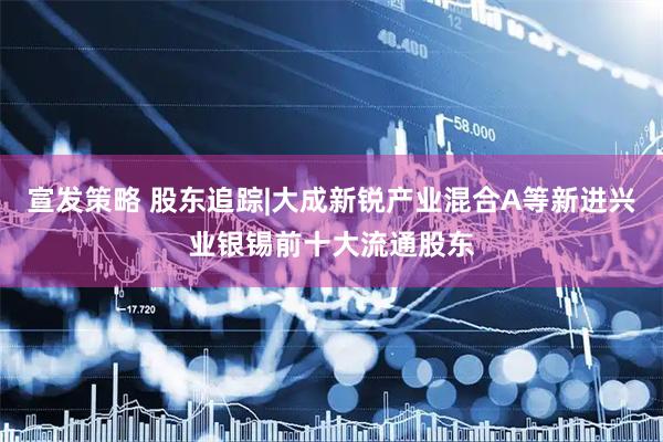 宣发策略 股东追踪|大成新锐产业混合A等新进兴业银锡前十大流通股东