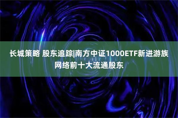 长城策略 股东追踪|南方中证1000ETF新进游族网络前十大流通股东