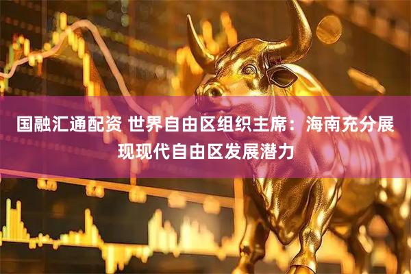 国融汇通配资 世界自由区组织主席：海南充分展现现代自由区发展潜力